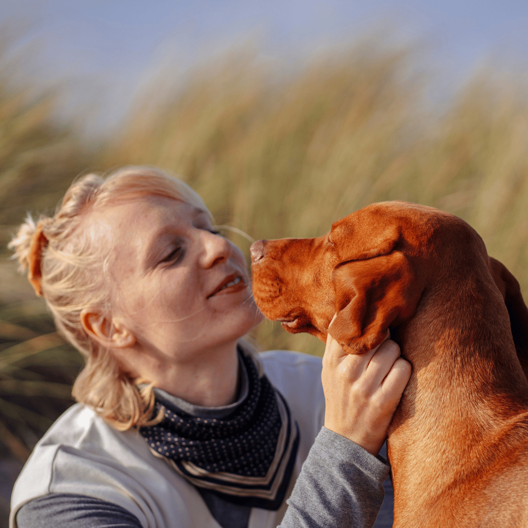 Successo nell'addestramento del cane