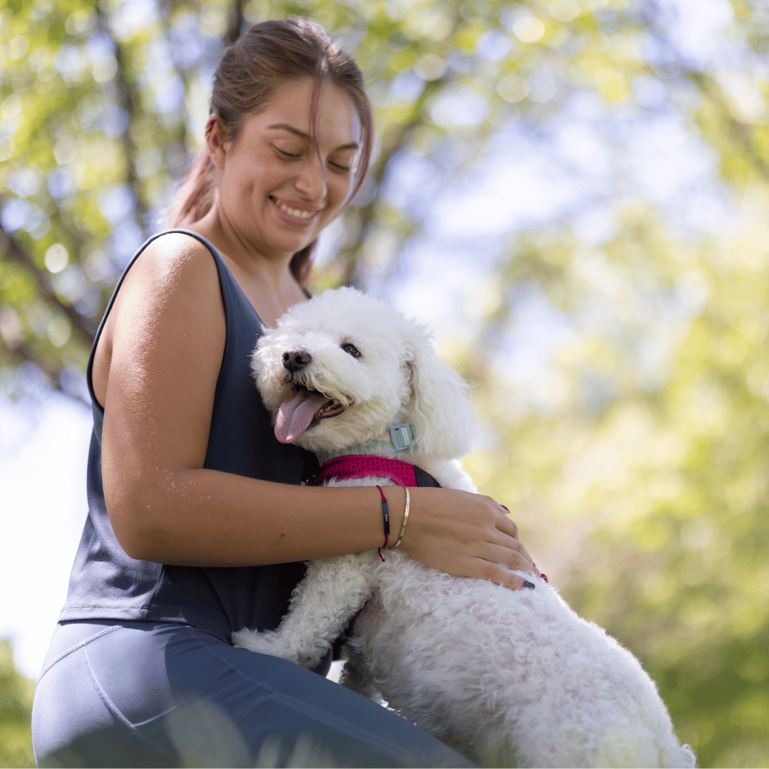 Successo nell'educazione del cane