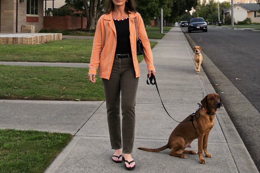 Incontro sereno tra cani durante la passeggiata